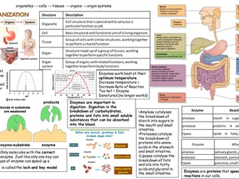 NEW AQA Biology 4.2 Revision Sheet
