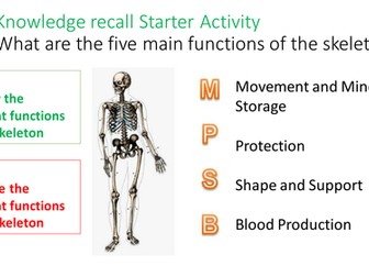 Joints GCSE 9-1 OCR