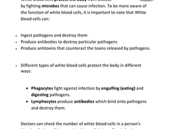 White blood cells comprehension activity