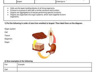 New GCSE Biology 9-1 Digestive System Revision Booklet