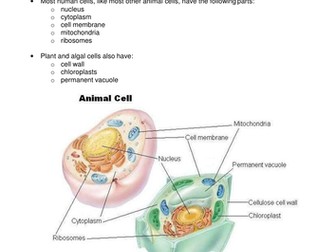 IGCSE Biology Cells and Cell Structures - Summary sheet