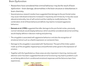 OCR PSYCHOLOGY APPLICATIONS (CRIMINAL) WHAT MAKES A CRIMINAL