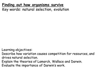 Evolution KS3