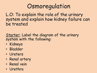 SB7h Osmoregulation NEW GCSE EDEXCEL (9-1)