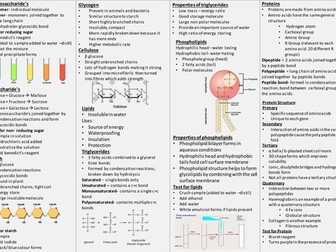 Knowledge Organiser AQA A Level Biology- biological molecules