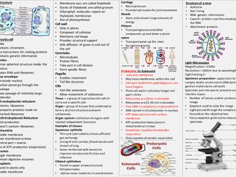 Knowledge Organiser AQA A Level Biology- cells