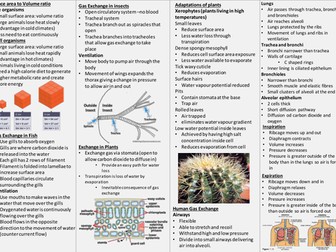 Knowledge Organiser AQA A Level Biology organisms exchange  Substances with their Environment