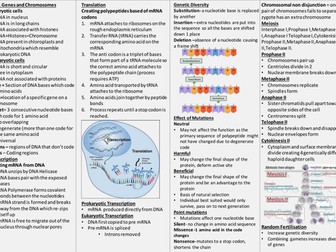 Knowledge Organiser AQA A level Biology-Genetic information, variation and relationships between org