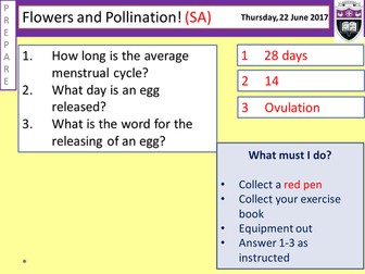 Flowers and Pollination