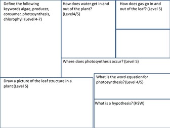 Photosynthesis