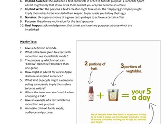 AQA A Level English Language Language Levels Weekly tests