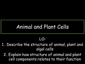 Animal and Plant Cells