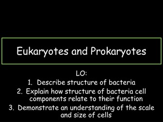 Eukaryotes and Prokaryotes including Bacteria Cell Structure