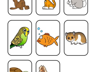 Spanish Matching Pairs Sets