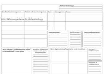 OCR Biology 6.2.1 e, f, g, h Microorganisms in Biotechnology Summary Sheet