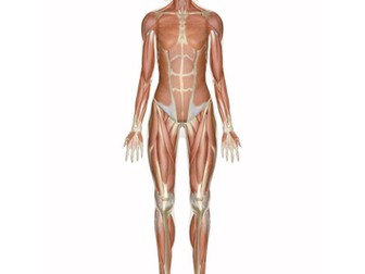 AQA A Level PE- Paper 1 Revision