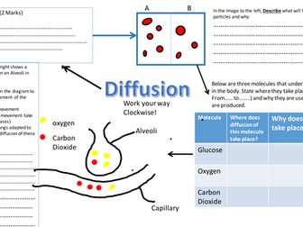 Diffusion Revision Worksheet - AQA 9-1 Biology Cell transport. Lungs/ organ