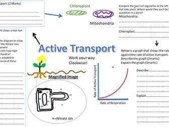 Active transport Revision sheet/ mat/ worksheet- AQA 9-1 Biology Cell transport