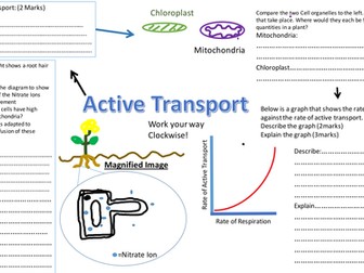 Active transport Revision sheet / mat Diffusion Revision Worksheet  - AQA 9-1 Biology Cell transport