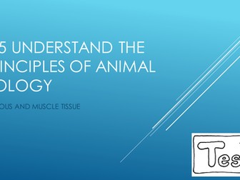 Nervous and Muscle Tissue
