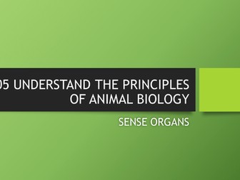 Sense Organs and The Eye