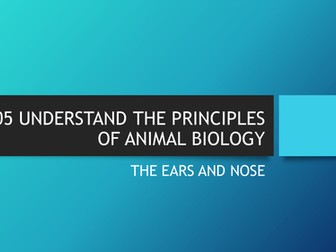 Sense Organs - The Ears and Nose