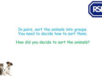 RSPCA Class that Cares Lessons 5 and 6