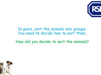 RSPCA Class that Cares Lessons 5 and 6