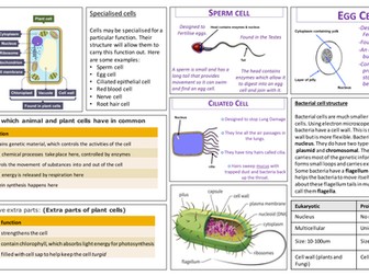 cells knowledge organiser
