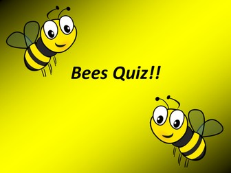 Bees quiz!
