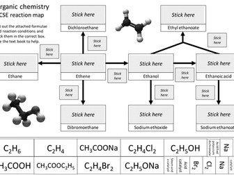 GCSE Organic revision cut and stick