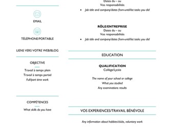 Job application-CV