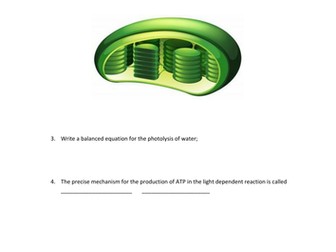 Photosynthesis Worksheet/Checkpoint Test