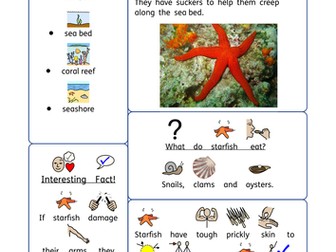 Seaside topic, rainbow fish, KS1, SEN, ASD, autism