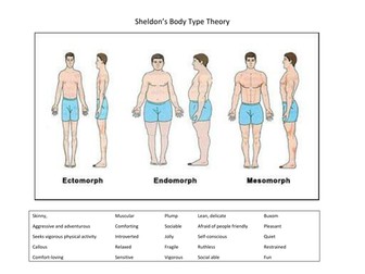 Sheldon Body Type Matching Activity - GCSE/Level 2 Criminology