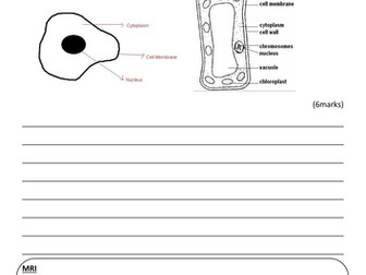 Extended writing task - Cells - Foundation