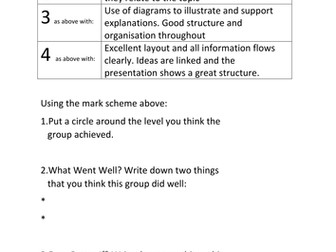 Posters - Peer Assessment Review Template