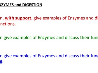 GCSE - Biology - ENZYMES AND DIGESTION