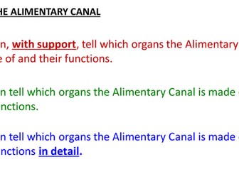 GCSE - Biology - THE ALIMENTARY CANAL