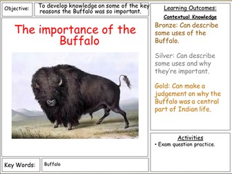American West - Importance of the buffalo.