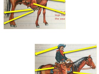 American West - Cowboys.