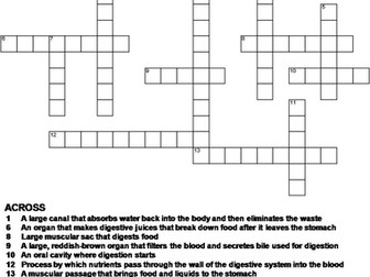 crossword human body puzzles system digestive puzzle anatomy bundle systems