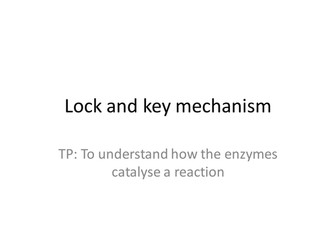 Lock and key mechanism- Enzymes