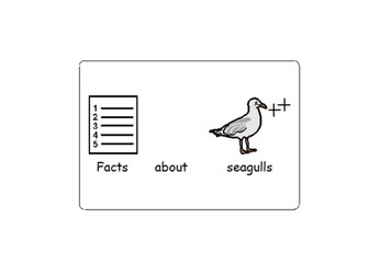 Lighthouse keepers lunch (Facts about seagulls) -SEN