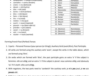 French Past Tense Reminder Sheet