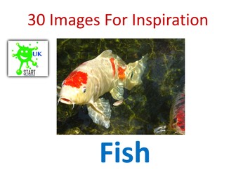STEAM Resource. 30 Images of Fish for Inspiration