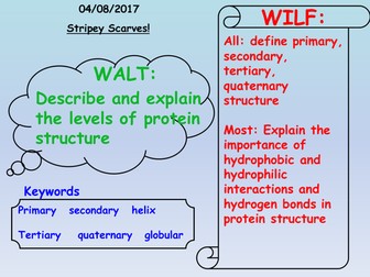 Protein Structure using scarves
