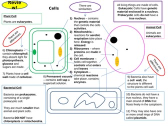 Cell Biology Topic 1 Full Set of Revision Card Activities for New AQA Biology GCSE