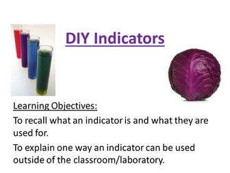 red cabbage indicator - observed lesson (outstanding)