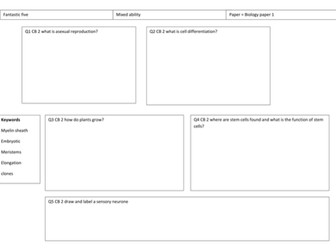 CB2 mini assessment